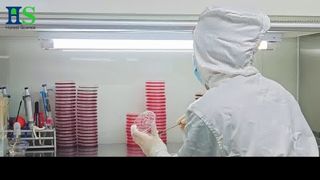 ELASEM® Eggshell Membrane Series: The Raw Material Solution for Joint Health & Beauty