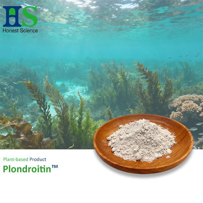 Plondroitin Plant-based Chondroitin Sulfate Powder High Purity ≥90% for Joint Health Dietary Supplements